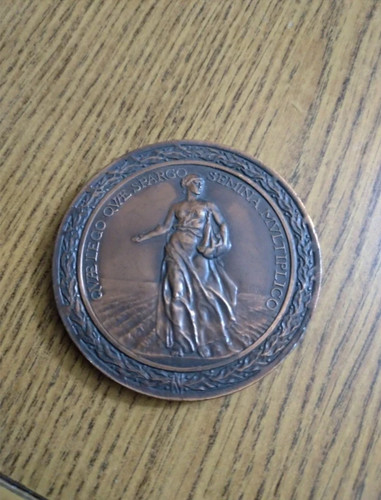 Medaglia commemorativa - , in