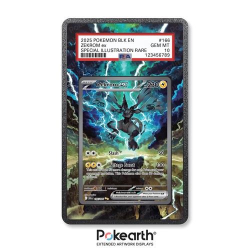 Zekrom 166 086 - -, case