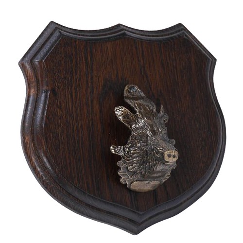 Targa stemma cinghiale - targa,