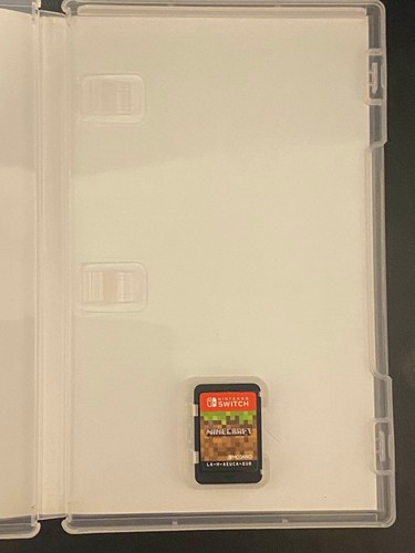 Minecraft nintendo switch pal - nintendo,