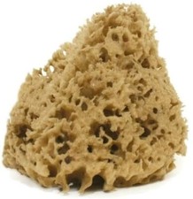 SPUGNA NATURALE DI MARE NON