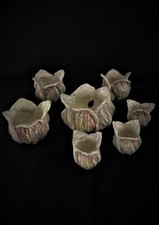 Lotto 7 Ricambio lampadario Glass Shade Replacement/Art nouveau/Tulipe en verre