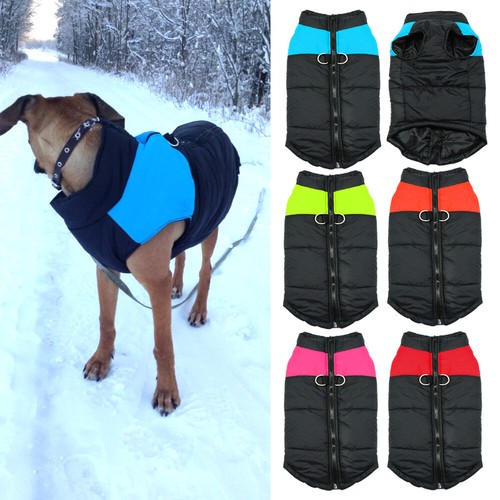 Cappotto invernale - cappotto,
