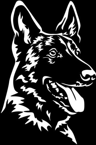 Adesivo malinois - adesivo,