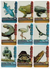 Wild Oltrenatura Lotto 99