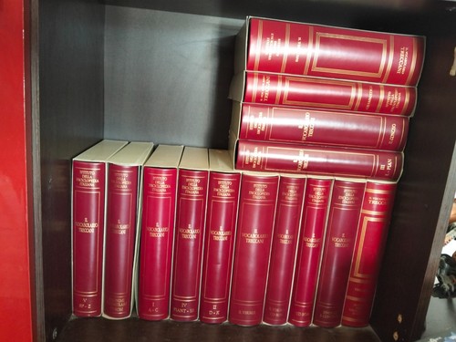 Libri treccani vocabolario - libri,