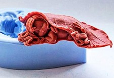 Stampo Silicone Dolcissimo