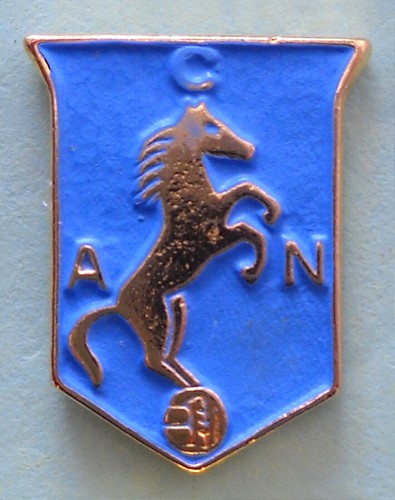 Distintivo spilla pin badge - distintivo,