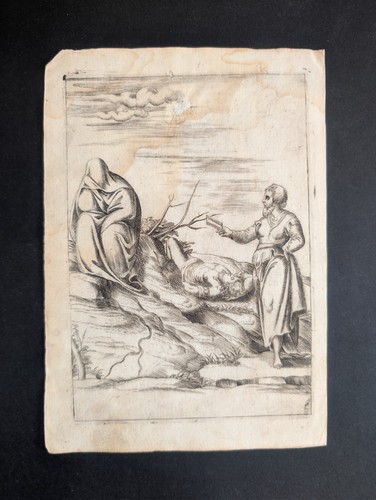 Venere morfo con - morfo,