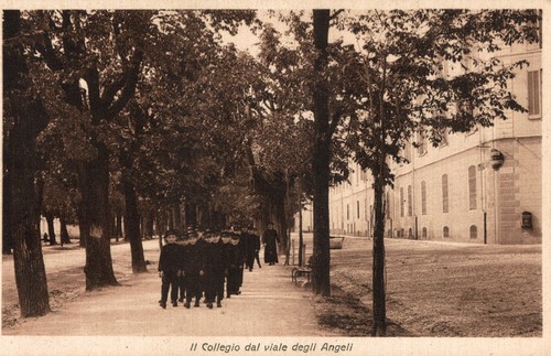Cuneo città collegio di - cittÀ,