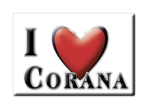 Calamita corana - (pv),