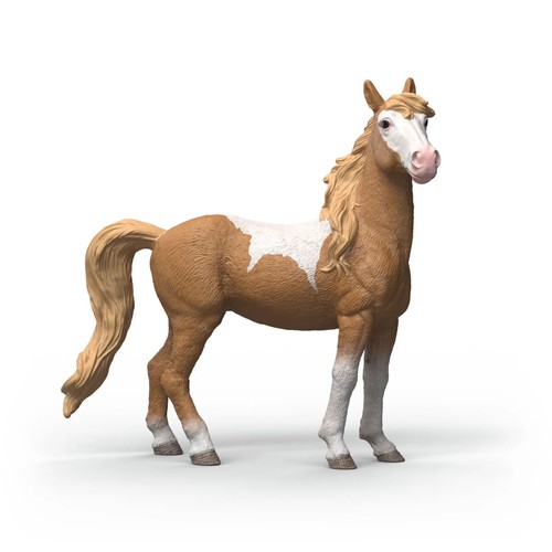 Giumenta mustang cavallo - mustang, in