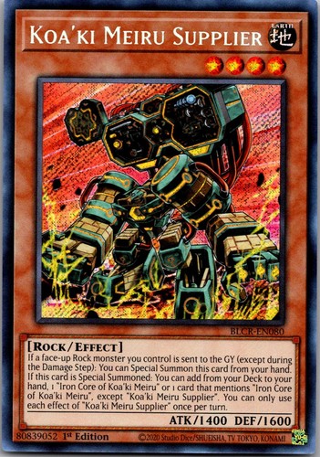 Koa meiru fornitore - koa'ki,