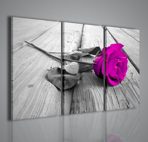 Quadri moderni violet rose - moderni,