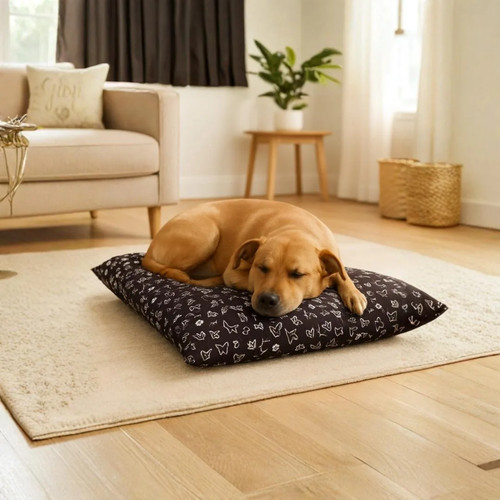 Materasso per cani - materasso,
