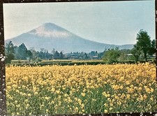 Cartolina Fuji / 10 / Giappone