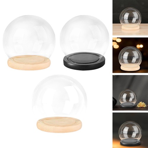 Espositore cupola con base - cupola,