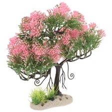  Decorazioni Per Acquario