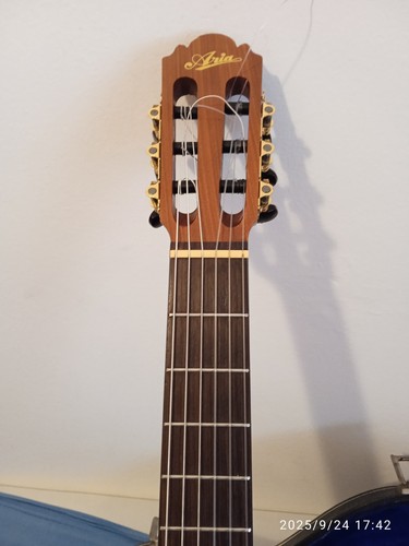 Chitarra classica aria a551b - classica,