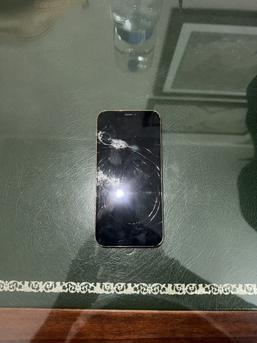 Apple iphone pro max - 12,