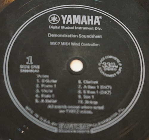 Flexi disc guitar player - guitar,