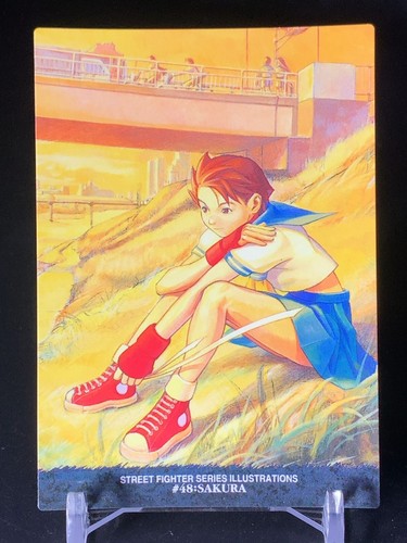 Sakura street fighter - fighter, 2