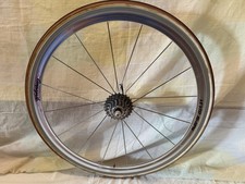 Rueda  Trasera Campagnolo