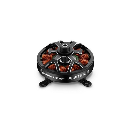 Hobbywing platinum motore - platinum,