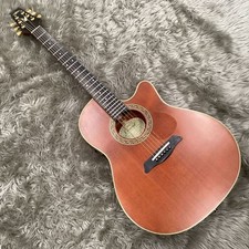 Chitarra elettrica acustica