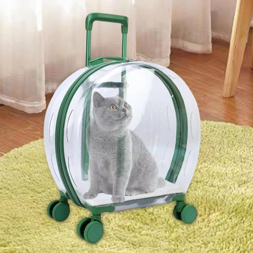 Borsa trolley verde - , lucido
