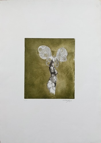 Godwin ekhard acquaforte - godwin,