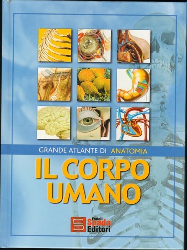 Corpo umano grande - grande, atlante