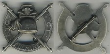 DISTINTIVO R.S.I. BERSAGLIERI