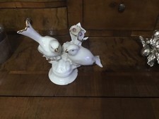 COPPIA DI UCCELLI IN