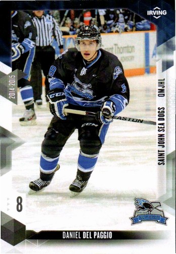 Daniele del paggio - 2014-15, san