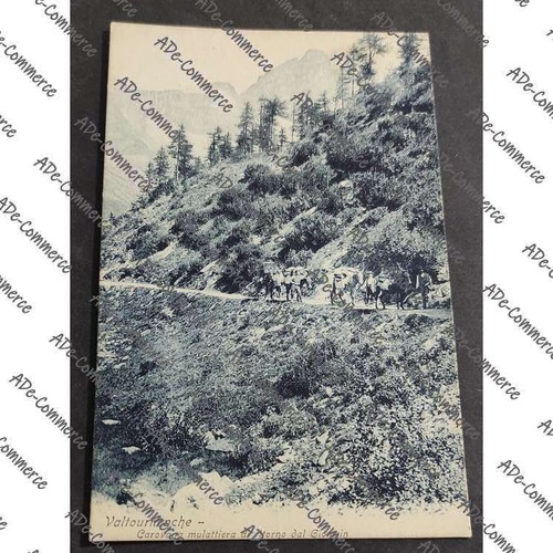 Postcard valtournanche - postcard,