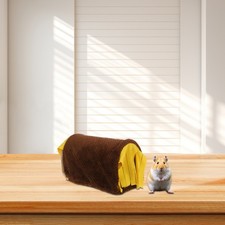  Nascondiglio Del Porcellino