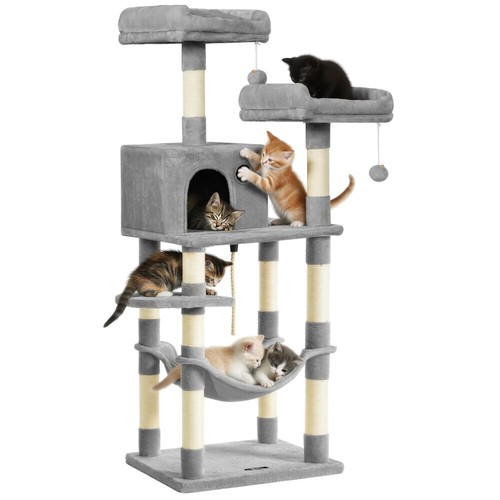 Condominio per gatti