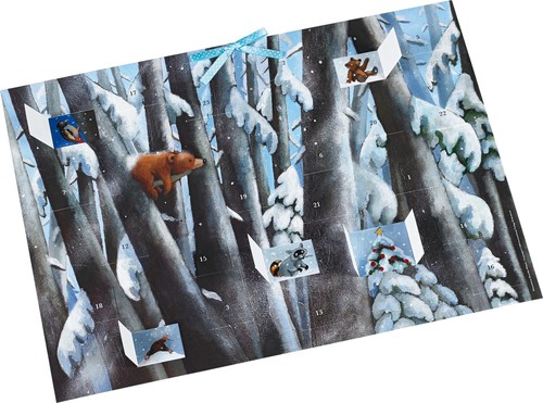 Winter bärenwald - winter, im