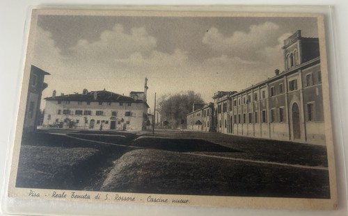 Cartolina san rossore pisa - di,
