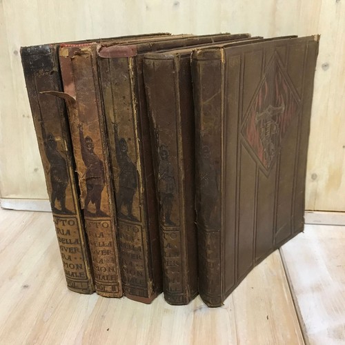 Lotto libri storia - lotto, della