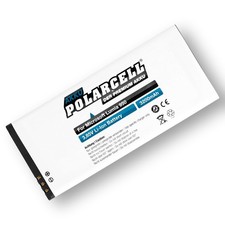 PolarCell Batteria per