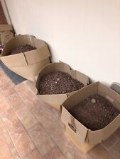 Pietra Lavica giardino per pacciamatura o arredo