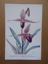 § carte ORCHIDÉE
