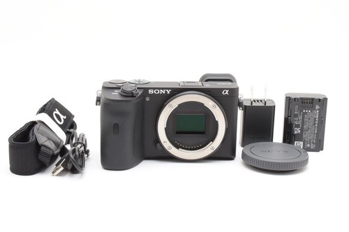 Sony a6600 ilce - sony, (35