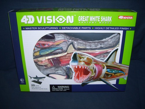 Modello vision great white - 4d,