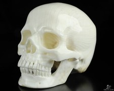 Enorme Teschio di Cristallo