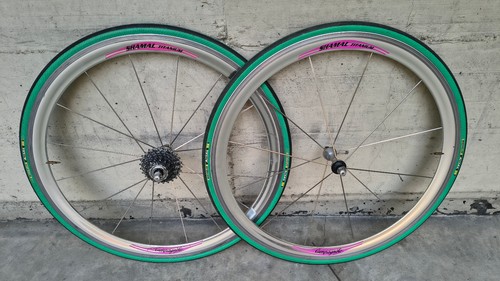 Campagnolo shamal titanium - shamal,