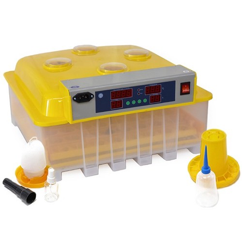 Incubatrice 56plus posti - incubatrice,