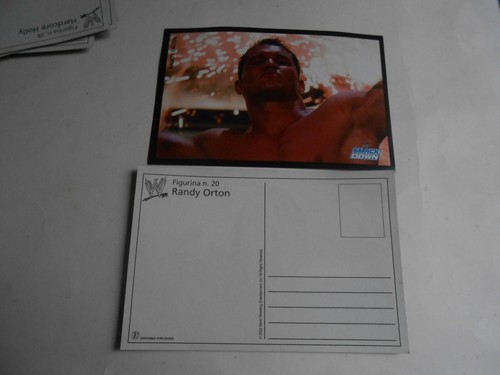 Figurina wrestling edigamma - figurina,